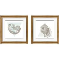 Framed 'Conchology Sketches 2 Piece Framed Art Print Set' border=