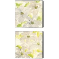 Framed 'Dancing Clematis 2 Piece Canvas Print Set' border=