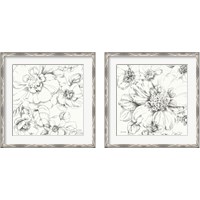 Framed 'Summer Bloom 2 Piece Framed Art Print Set' border=