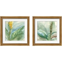 Framed 'Exotic Flower 2 Piece Framed Art Print Set' border=