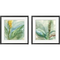 Framed 'Exotic Flower 2 Piece Framed Art Print Set' border=