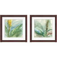 Framed 'Exotic Flower 2 Piece Framed Art Print Set' border=