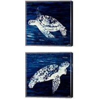 Framed 'Swim Along 2 Piece Canvas Print Set' border=