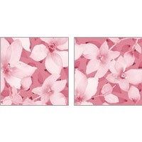 Framed 'Blooming Pink Whispers 2 Piece Art Print Set' border=