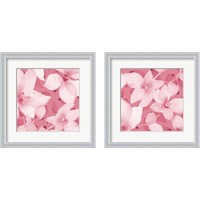 Framed 'Blooming Pink Whispers 2 Piece Framed Art Print Set' border=