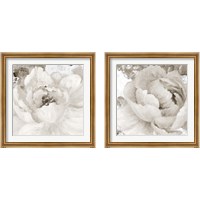 Framed 'Light Grey Flowers 2 Piece Framed Art Print Set' border=