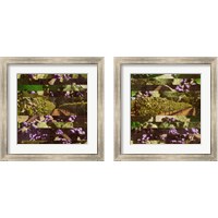 Framed 'Vinecraft Horizons 2 Piece Framed Art Print Set' border=