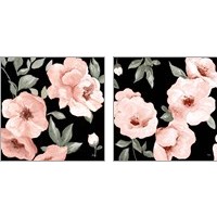 Framed 'Dusty Rose on Black 2 Piece Art Print Set' border=