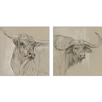 Framed 'Longhorn Sketch 2 Piece Art Print Set' border=