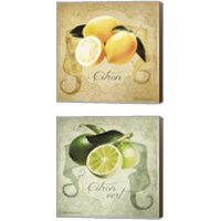 Framed 'Vintage Lemons & Limes 2 Piece Canvas Print Set' border=