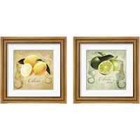 Framed 'Vintage Lemons & Limes 2 Piece Framed Art Print Set' border=