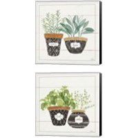 Framed 'Fine Herbs 2 Piece Canvas Print Set' border=