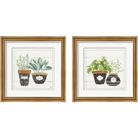 Framed 'Fine Herbs 2 Piece Framed Art Print Set' border=