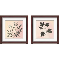 Framed 'Botanical Study Blush 2 Piece Framed Art Print Set' border=