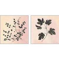 Framed 'Botanical Study Blush 2 Piece Art Print Set' border=