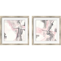 Framed 'Blushing Grey 2 Piece Framed Art Print Set' border=