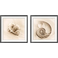 Framed 'Il Oceano 2 Piece Framed Art Print Set' border=