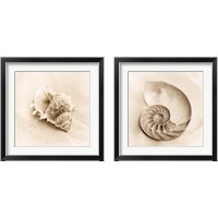 Framed 'Il Oceano 2 Piece Framed Art Print Set' border=