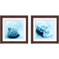 Framed 'Nautica 2 Piece Framed Art Print Set' border=