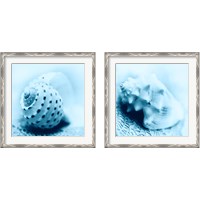 Framed 'Nautica 2 Piece Framed Art Print Set' border=