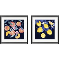 Framed 'Fresh Fruit 2 Piece Framed Art Print Set' border=