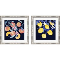 Framed 'Fresh Fruit 2 Piece Framed Art Print Set' border=