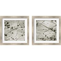 Framed 'Laced Sky 2 Piece Framed Art Print Set' border=