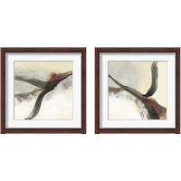 Framed 'Wax Ribbon 2 Piece Framed Art Print Set' border=