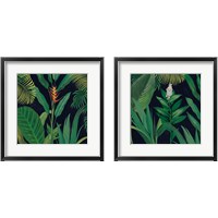 Framed 'Dramatic Tropical 2 Piece Framed Art Print Set' border=