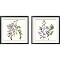 Framed 'Graceful Botanical 2 Piece Framed Art Print Set' border=