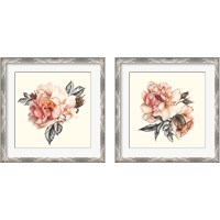 Framed 'Light of Day Rose 2 Piece Framed Art Print Set' border=