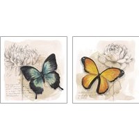 Framed 'Shadow Box Butterfly 2 Piece Art Print Set' border=