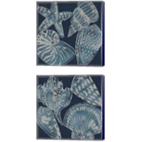 Framed 'Marine Shells 2 Piece Canvas Print Set' border=