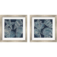 Framed 'Marine Shells 2 Piece Framed Art Print Set' border=