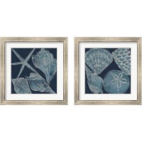 Framed 'Marine Shells 2 Piece Framed Art Print Set' border=