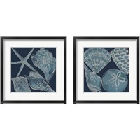 Framed 'Marine Shells 2 Piece Framed Art Print Set' border=