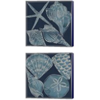 Framed 'Marine Shells 2 Piece Canvas Print Set' border=