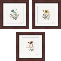 Framed 'Thoughtful Blooms 3 Piece Framed Art Print Set' border=