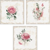 Framed 'French Romance  3 Piece Art Print Set' border=