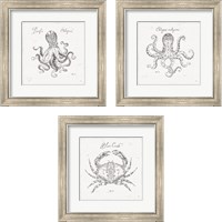 Framed 'Underwater Life 3 Piece Framed Art Print Set' border=