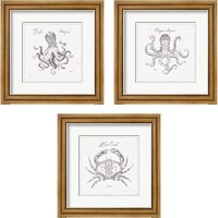 Framed 'Underwater Life 3 Piece Framed Art Print Set' border=