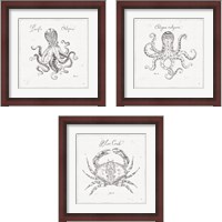 Framed 'Underwater Life 3 Piece Framed Art Print Set' border=