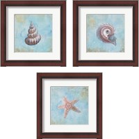 Framed 'Treasures from the Sea Watercolor 3 Piece Framed Art Print Set' border=