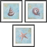 Framed 'Treasures from the Sea Watercolor 3 Piece Framed Art Print Set' border=