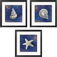 Framed 'Treasures from the Sea Indigo 3 Piece Framed Art Print Set' border=