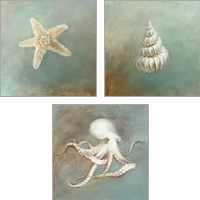 Framed 'Treasures from the Sea 3 Piece Art Print Set' border=
