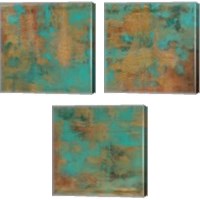 Framed 'Rustic Elegance 3 Piece Canvas Print Set' border=