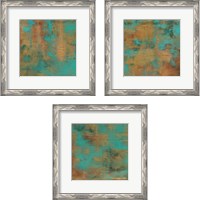 Framed 'Rustic Elegance 3 Piece Framed Art Print Set' border=