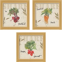 Framed 'Farmers Feast Harvest 3 Piece Framed Art Print Set' border=