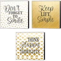Framed 'Don't Forget to Smile 3 Piece Canvas Print Set' border=